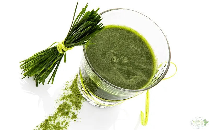 Benefits of Wheatgrass - The Natural Health Market
