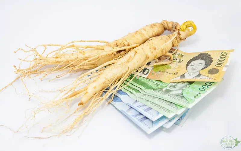 The True Benefits of Ginseng - The Natural Health Market