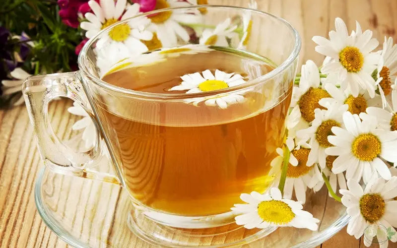 The Health Benefits of Herbal Tea: The Facts (and the Fiction!) - The Natural Health Market