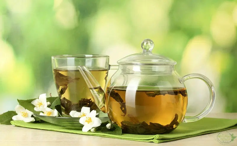 Senna Leaf Tea - The Herbal Laxative Tea - The Natural Health Market