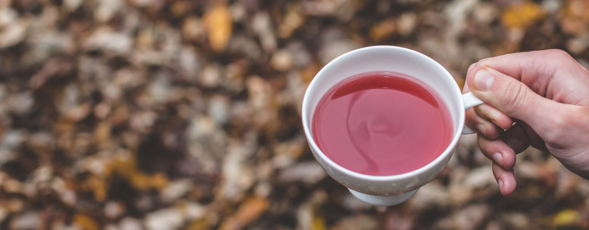 A cup of hibiscus tea being held outdoors in and autumn backdrop.